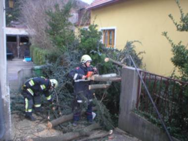 Ein Ast musste aus einer Hauseinfahrt entfernt werden